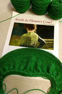 Seeds to Flowers Cowl in progress
