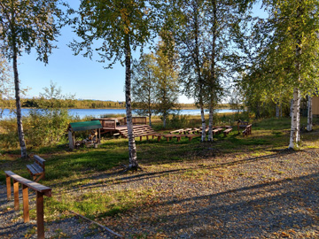 Lake and trees